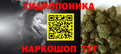 a pvp Заводоуковск
