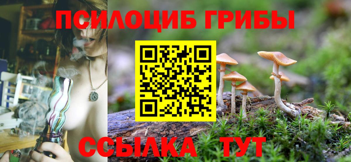 Псилоцибиновые грибы Cubensis  Вход с VPN  Миасс  Псилоцибиновые грибы мицелий 