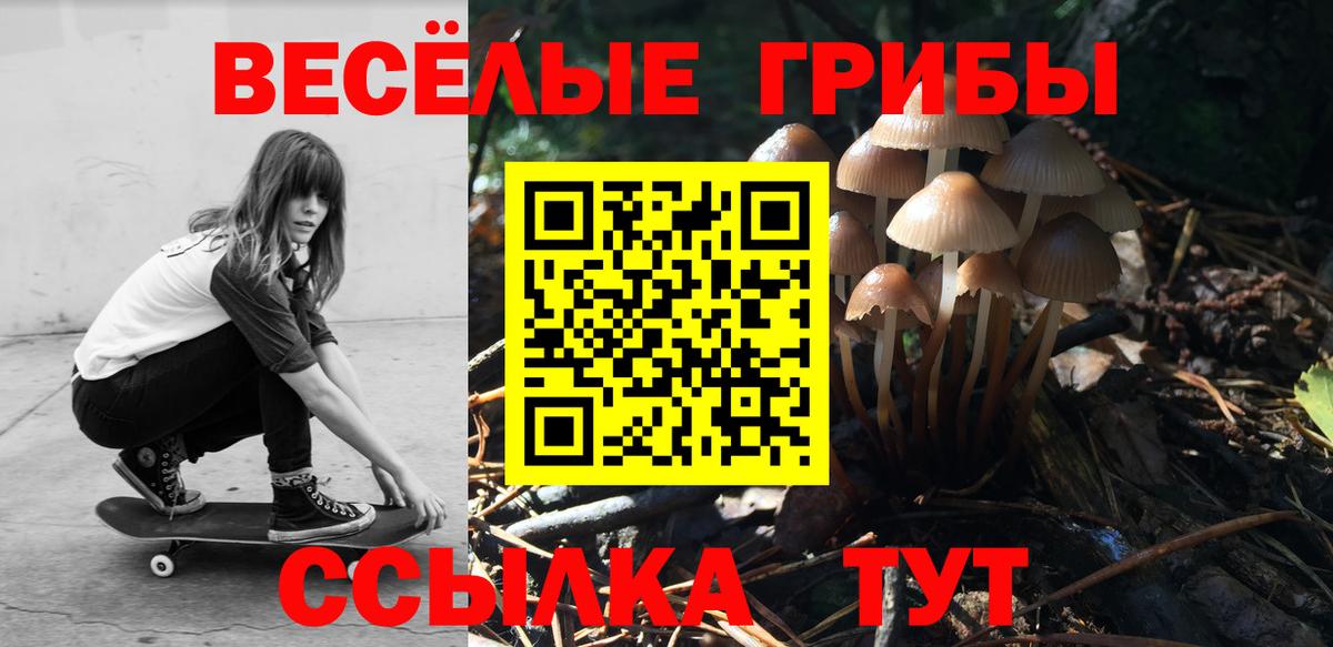 Псилоцибиновые грибы MAGIC MUSHROOMS Миасс